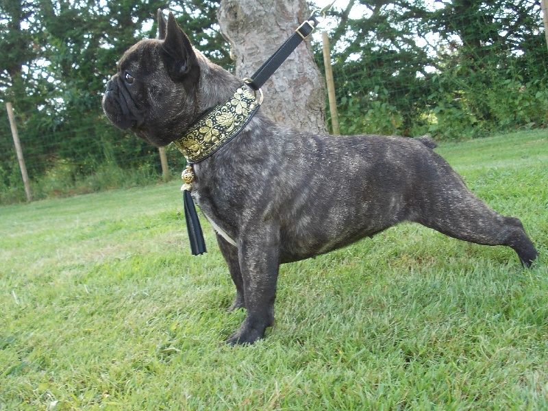 Falbala du bois de faitin